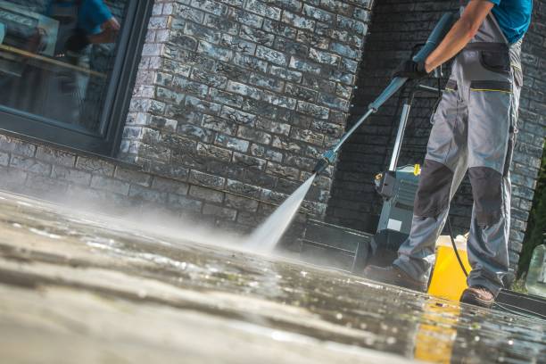 Best Graffiti Removal Services in Burbank, IL